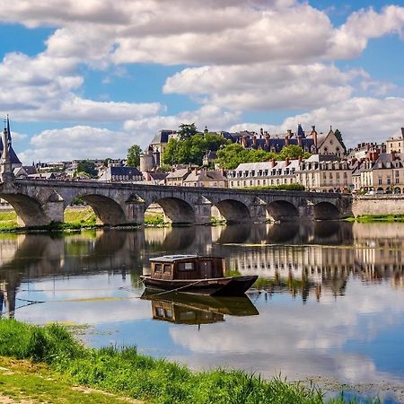 Coeur De Loire Apartman Blois Kültér fotó