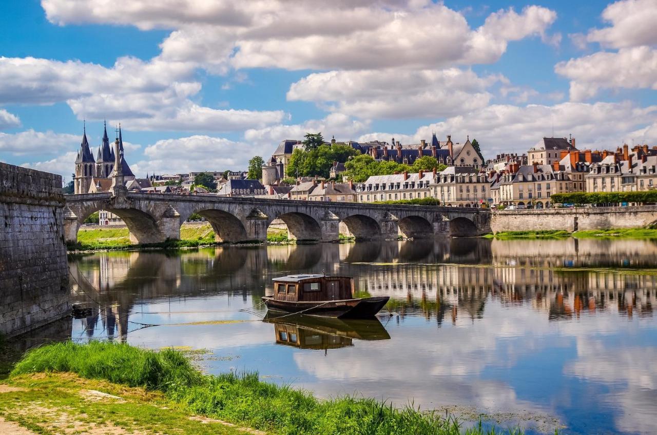 Coeur De Loire Apartman Blois Kültér fotó